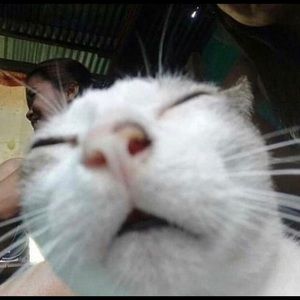 Meet your Posher, Marvin